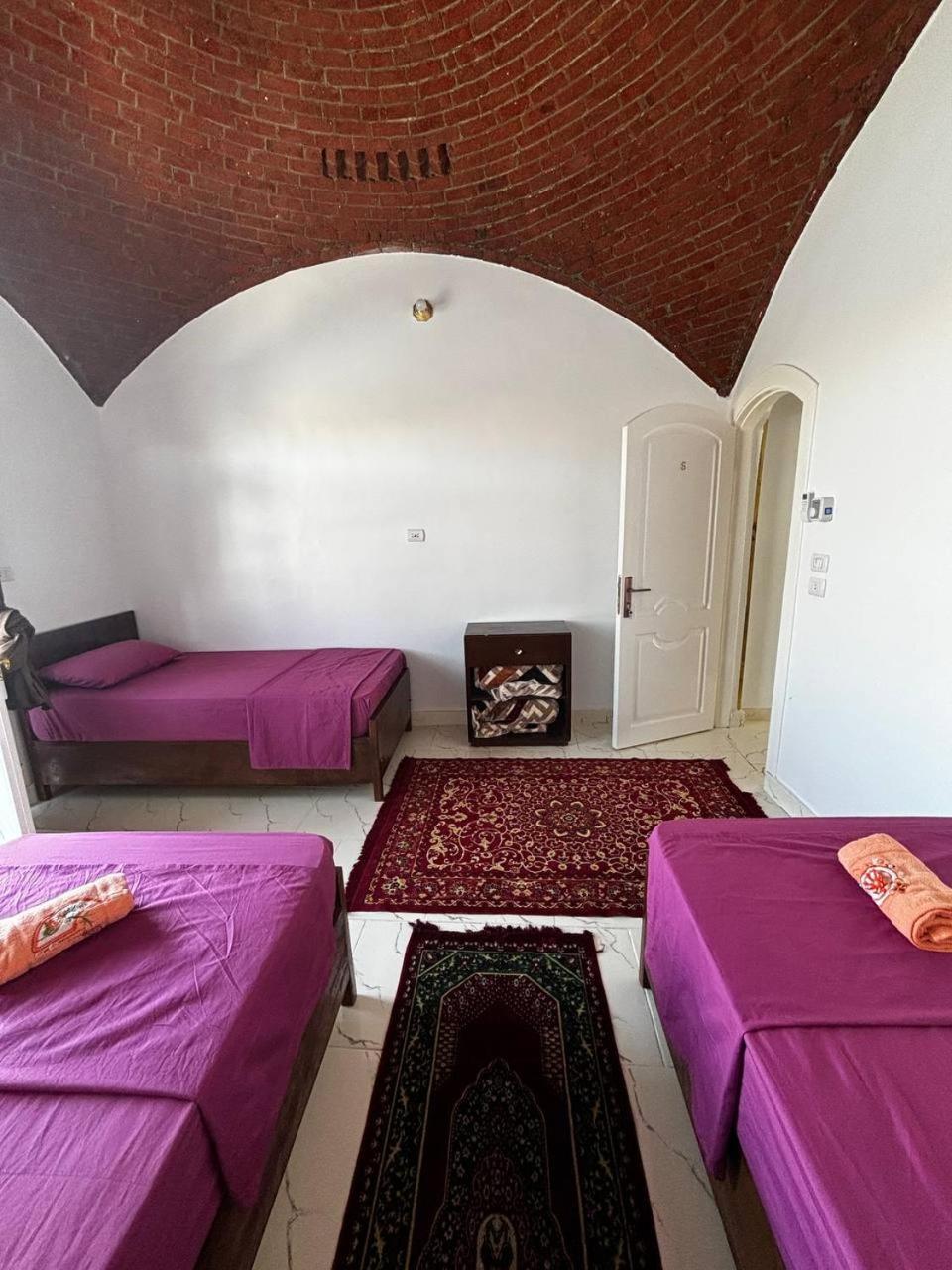 Nile View Guest House Assouan Extérieur photo
