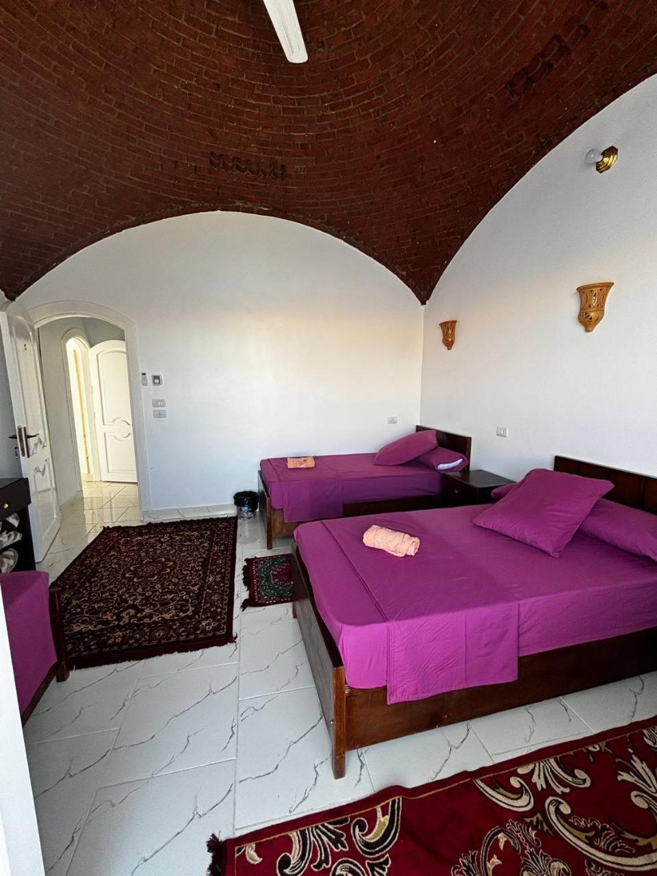 Nile View Guest House Assouan Extérieur photo